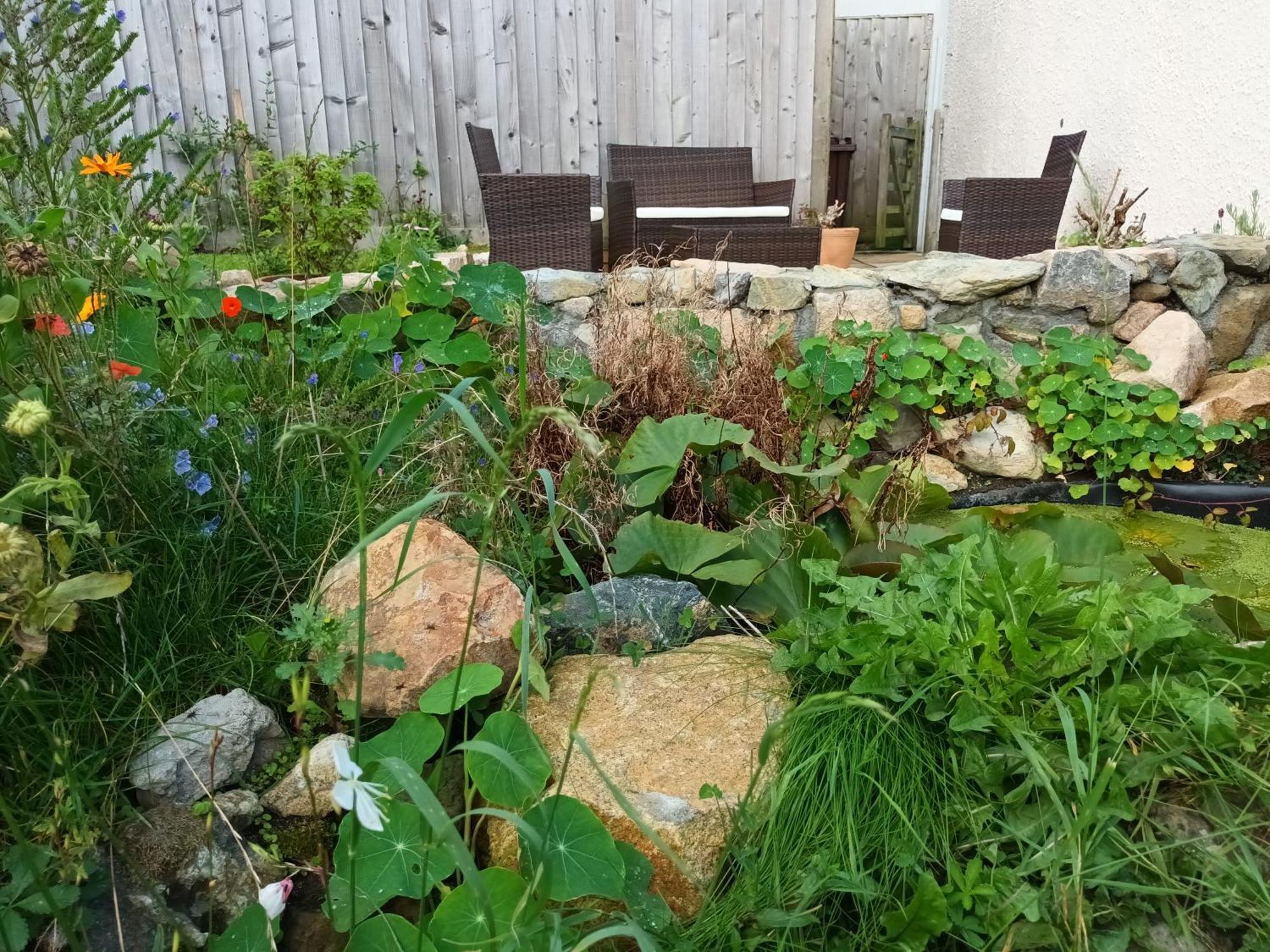 Sunrise! ~ 2 Bedrooms, Garden, Parking, Sea Views St Ives 外观 照片